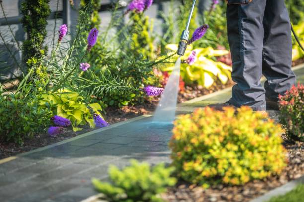  Staten Island, NY Pressure Washing Pros